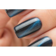 Гель-лак Dance Legend коллекция Magnetic Top №LE 55 Blue