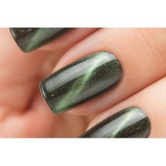 Гель-лак Dance Legend коллекция Magnetic Top №LE 56 Green