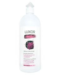 Шампунь бивалентный для жирной кожи головы и сухих кончиков Luxor Professional Sebum Balance 1000мл