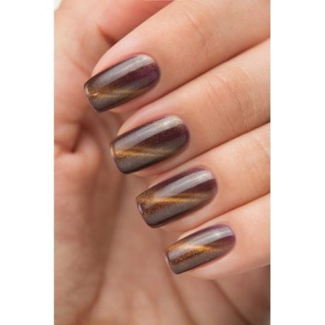 Гель- лак Dance Legend коллеция Magnetic LE № 21